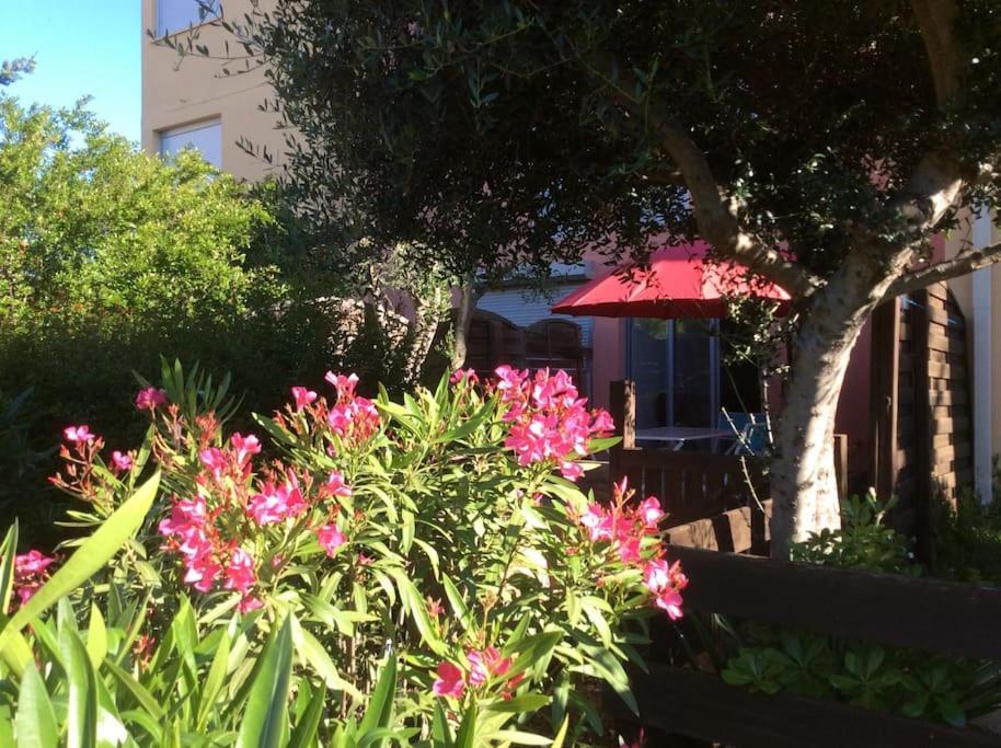 Cap Agde Studio-Cabine Jardin Clos, Port Et Plage Exterior foto